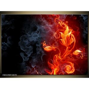Tablouri canvas - foc (F003290F10070)