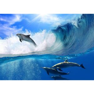Buvu Fototapet: Delfini - 184x254 cm