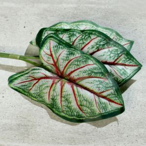 Set x5 frunze artificiale Begonia verde-crem - 40 cm