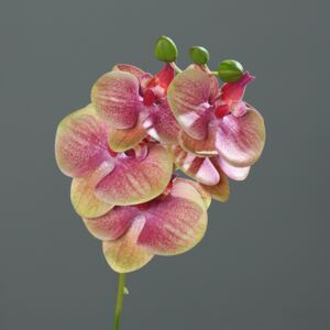 Orhidee artificiala verde-mov - 37 cm