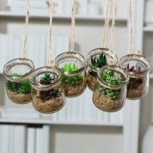 Set x6 plante suculente artificiale decorative in ghiveci de sticla - 8 cm