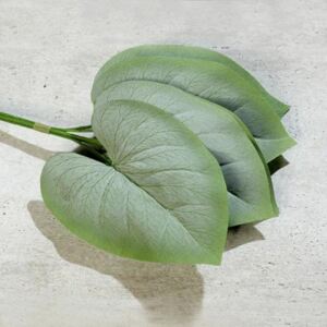 Set x5 frunze artificiale Hosta/ crinul de toamna verde pudrat - 40 cm