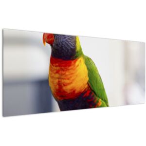 Tablou cu papagal (Modern tablou, 120x50 cm)