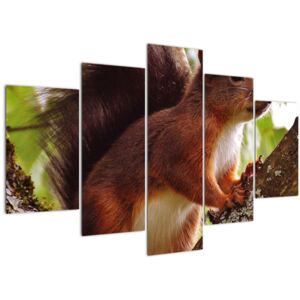 Tablou cu veverița (Modern tablou, 150x105 cm)
