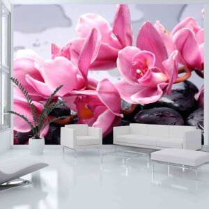 Bimago Fototapet - Orchid flowers with zen stones 200x154 cm