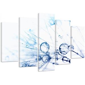 CARO Tablou pe pânză - Water Drops On A Dandelion 2 100x70 cm