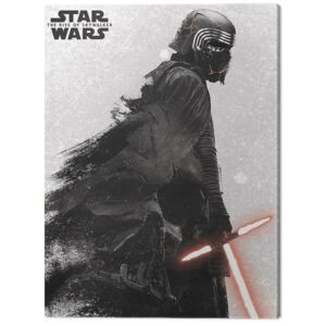 Star Wars: The Rise of Skywalker - Kylo Ren And Vader Tablou Canvas, (30 x 40 cm)