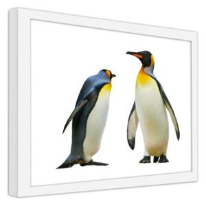 CARO Imagine în cadru - Penguins 40x30 cm Alb