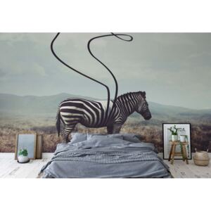 Fototapet - Zebra Stripes Vliesová tapeta - 208x146 cm