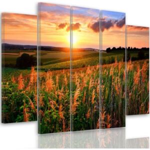 CARO Tablou pe pânză - Sunset Over Fields 100x70 cm
