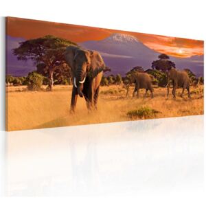 Tablou - March of african elephants 120x40 cm