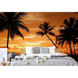 Fototapet - Beach Tropical Sunset Palms Vliesová tapeta - 368x254 cm