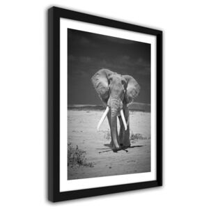 CARO Imagine în cadru - A Wandering Elephant 30x40 cm Negru