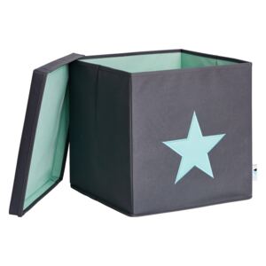 Cutie cu capac pentru depozitare - Green Star 33x33x33 cm