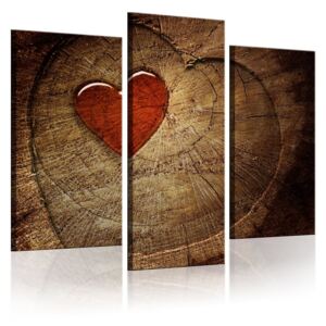 Tablou Bimago - Old love does not rust - triptych 120x100