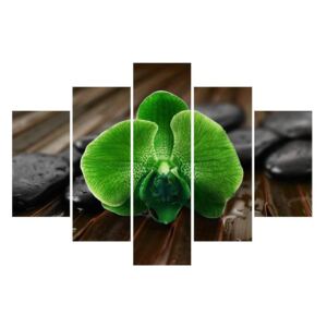Tablou cu floare de orhidee verde (Modern tablou, K011770K150105)