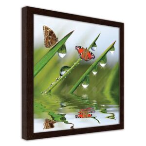 CARO Imagine în cadru - Butterflies On Dewy Grass 20x20 cm Maro