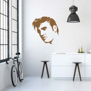 Elvis - autocolant de perete Maro 100 x 100 cm