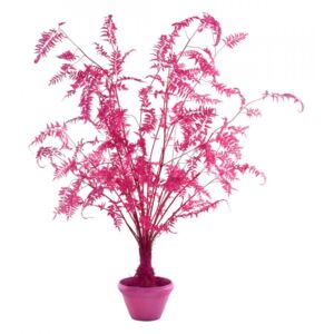 Planta artificiala cu ghiveci din lut si plastic 300 cm Fern Pink Pols Potten