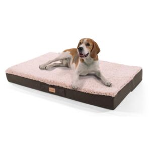 Brunolie Balu, pat pentru câine, pernă pentru câine, lavabil, ortopedic, antiderapant, spumă cu memorie, dimensiunea L (100 × 10 × 65 cm)