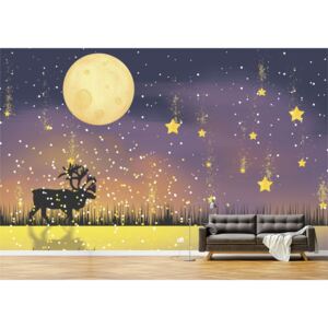 Tapet Premium Canvas - Abstract luna si stele