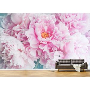 Tapet Premium Canvas - Floare roz