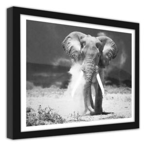 CARO Imagine în cadru - Elephant 20x20 cm Negru