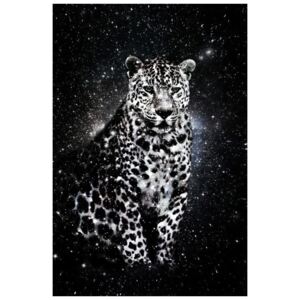 Tablou negru/alb din sticla 80x120 cm Leopard Ter Halle