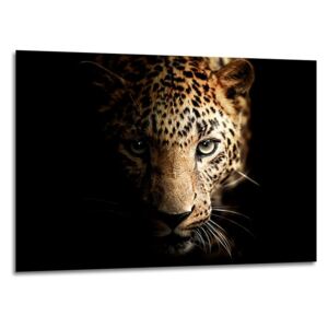 Styler Tablou pe sticlă - Leopard 100x70 cm