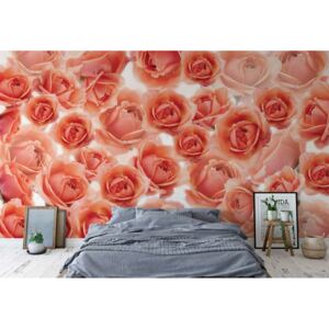 Fototapet - Pink Roses Flowers Vliesová tapeta - 368x254 cm