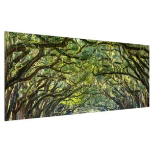 Tablou cu alee și copaci (Modern tablou, K014683K12050)