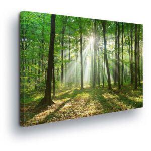 Tablou - Forest Glow II 3 x 25x25 cm