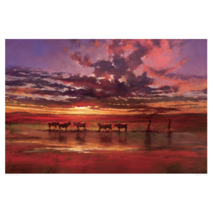 Jonathan Sanders - African Sunset Reproducere, (70 x 50 cm)