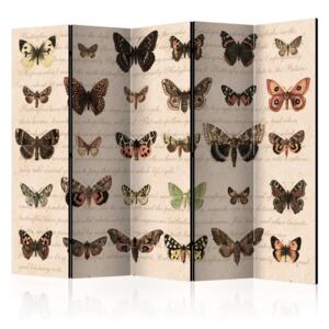 Paravan - Retro Style: Butterflies 225x172cm