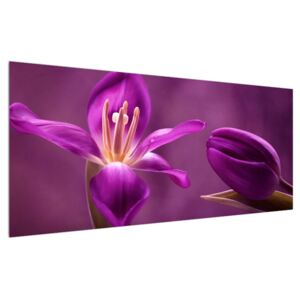 Tablou cu floare violet (Modern tablou, K012217K12050)