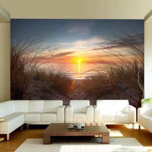 Bimago Fototapet - Sunset Over The Atlantic Ocean 250x193 cm