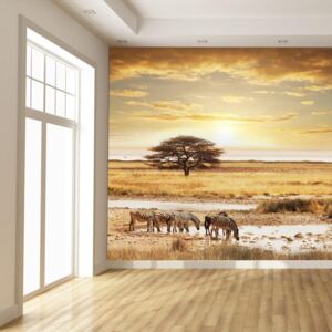 Tapet T011346T200150 (200x150 cm)