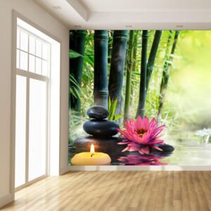 Tapet T012051T200150 (200x150 cm)