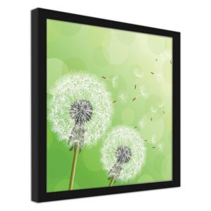 CARO Imagine în cadru - Dandelion On A Green Background 20x20 cm Negru