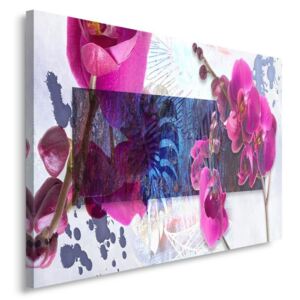 CARO Tablou pe pânză - Orchid Composition 1 40x30 cm