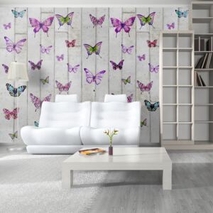 Tapet - Butterflies and Concrete role 50x1000 cm