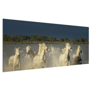 Tablou cu cai albi (Modern tablou, K012053K12050)