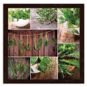CARO Imagine în cadru - Harvested Herbs 30x30 cm Maro