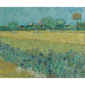Field with Flowers near Arles, 1888 Reproducere, Vincent van Gogh