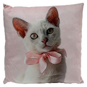 Perna din poliester roz cu pisica