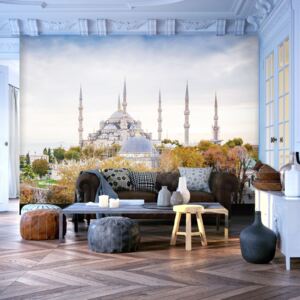 Fototapet - Hagia Sophia - Istanbul 350x245 cm