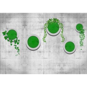 Fototapet 3D Green on Wall Autocolant perete 200x300 cm