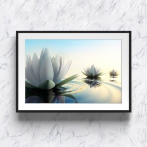 Rame - Lotus 40 x 50 cm