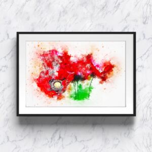 Rame - Poppies 70 x 100 cm