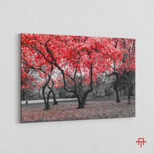 Canvas - Blossom 70 x 100 cm